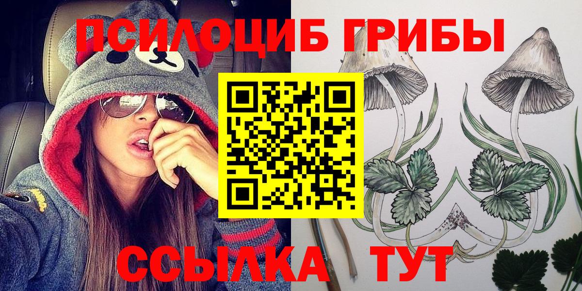 Псилоцибиновые грибы Psilocybine cubensis  сколько стоит  Качканар  Вход с VPN  Галлюциногенные грибы MAGIC MUSHROOMS 